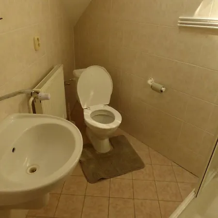 Guest house Vazinka